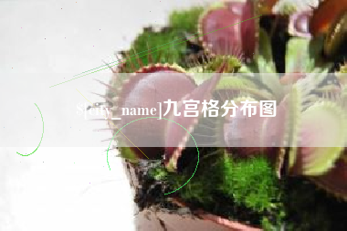 内江九宫格分布图