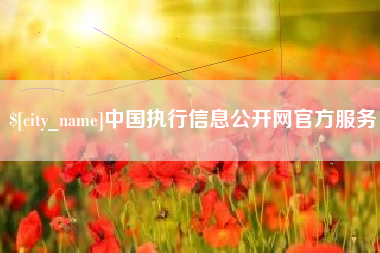 内江中国执行信息公开网官方服务