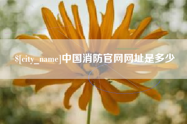 内江中国消防官网网址是多少