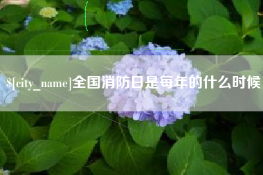 内江全国消防日是每年的什么时候