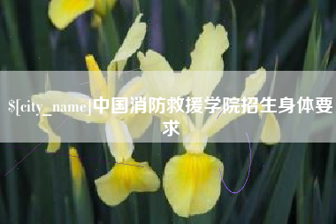 内江中国消防救援学院招生身体要求