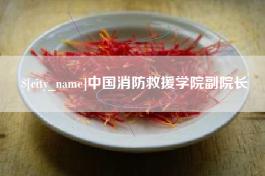 内江中国消防救援学院副院长