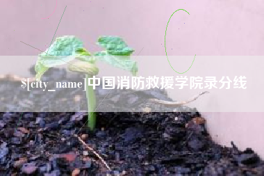 内江中国消防救援学院录分线