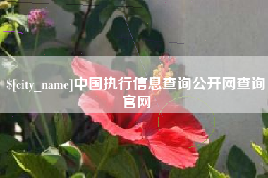 内江中国执行信息查询公开网查询官网