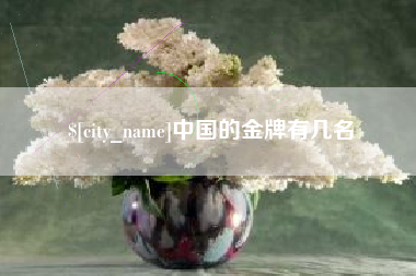 内江中国的金牌有几名