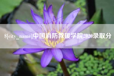 内江中国消防救援学院2020录取分
