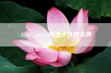 内江中国十九枚金牌
