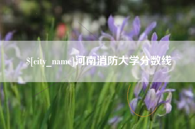 内江河南消防大学分数线