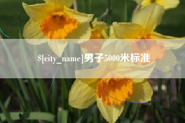 内江男子5000米标准