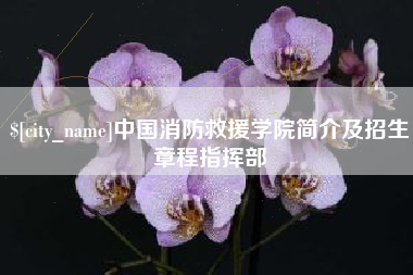 内江中国消防救援学院简介及招生章程指挥部