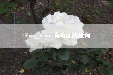 内江消防证的查询