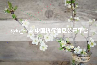 内江中国执行信息公开平台