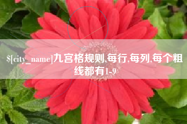 内江九宫格规则,每行,每列,每个粗线都有1-9