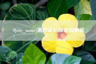 内江消防证初级查询系统
