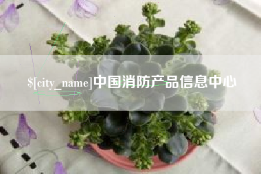 内江中国消防产品信息中心