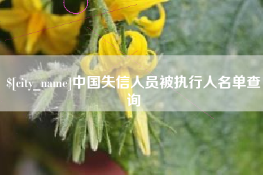 内江中国失信人员被执行人名单查询