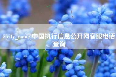 内江中国执行信息公开网客服电话查询