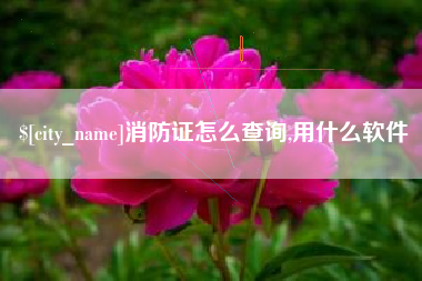 内江消防证怎么查询,用什么软件