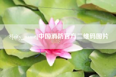 内江中国消防官方二维码图片