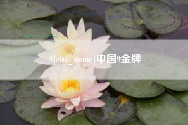 内江中国9金牌