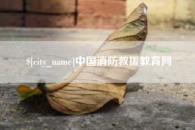 内江中国消防救援教育网