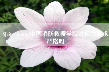 内江中国消防救援学院对视力要求严格吗