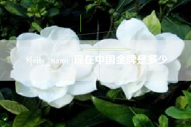 内江现在中国金牌是多少