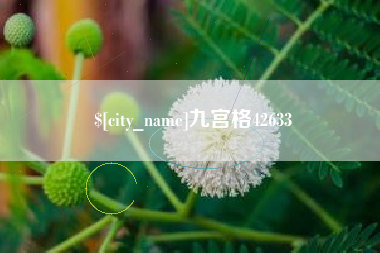 内江九宫格42633