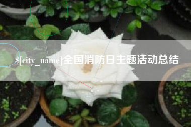 内江全国消防日主题活动总结