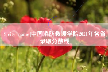内江中国消防救援学院2021年各省录取分数线