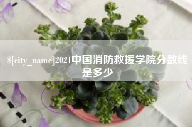 内江2021中国消防救援学院分数线是多少