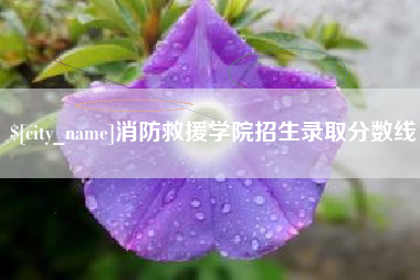 内江消防救援学院招生录取分数线
