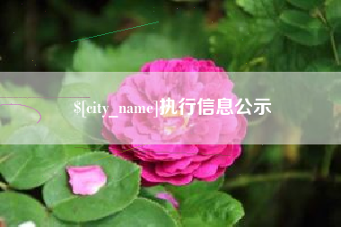 内江执行信息公示