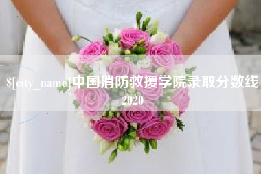 内江中国消防救援学院录取分数线2020