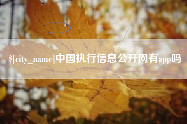 内江中国执行信息公开网有app吗
