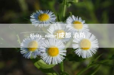 内江成都 消防