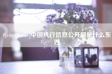 内江中国执行信息公开网是什么东西
