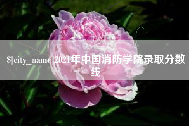 内江2021年中国消防学院录取分数线