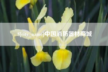 内江中国消防器材商城