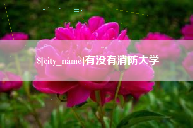 内江有没有消防大学