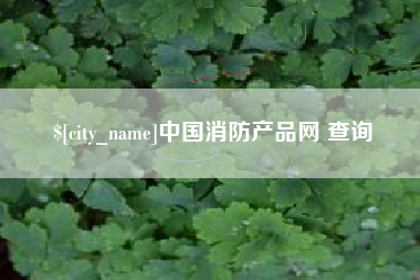 内江中国消防产品网 查询