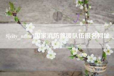 内江国家消防救援队伍报名网址