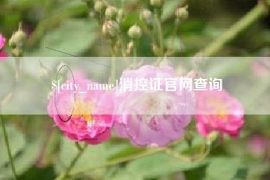 内江消控证官网查询