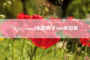 内江中国男子5000米冠军