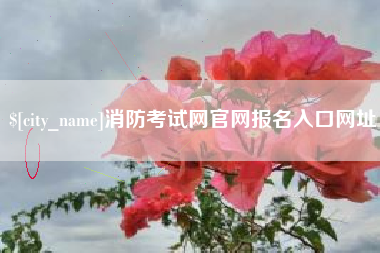 内江消防考试网官网报名入口网址