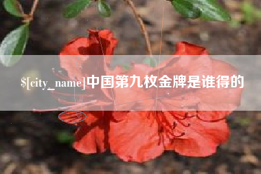 内江中国第九枚金牌是谁得的