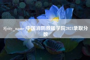 内江中国消防救援学院2021录取分数