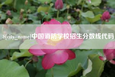 内江中国消防学校招生分数线代码