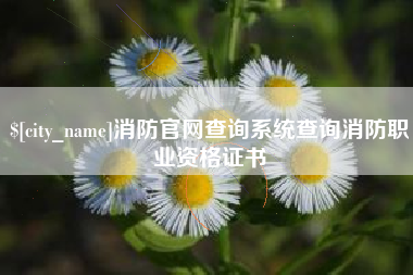 内江消防官网查询系统查询消防职业资格证书