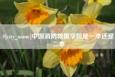 内江中国消防救援学院是一本还是二本